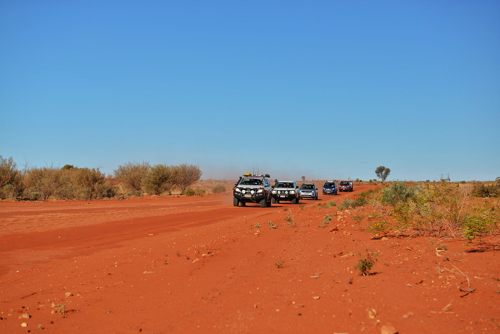 Brisbane to Birdsville Your guide to the Birdsville Races